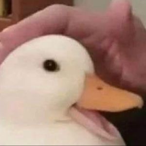 Meet your Posher, Evan